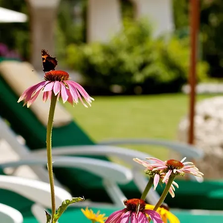 Hotel Laerchenhof 4*