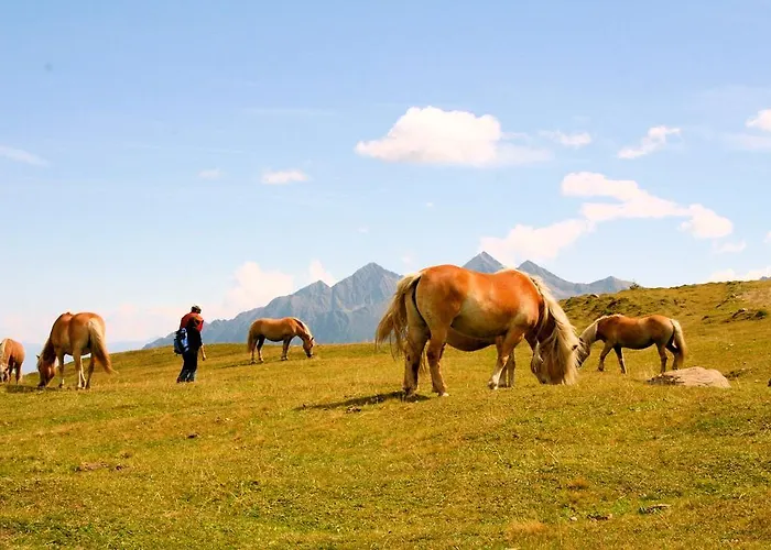 Laerchenhof Hotel 4*