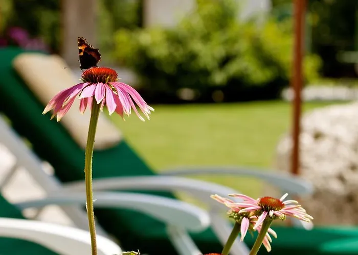 Hotel Laerchenhof 4*