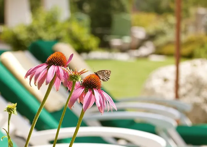 فندق لارشنهوف ناتور